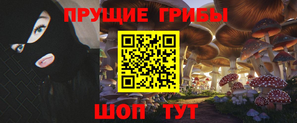 Электросталь  Псилоцибиновые грибы Cubensis  где купить   Псилоцибиновые грибы Magic Shrooms  Вход с VPN 